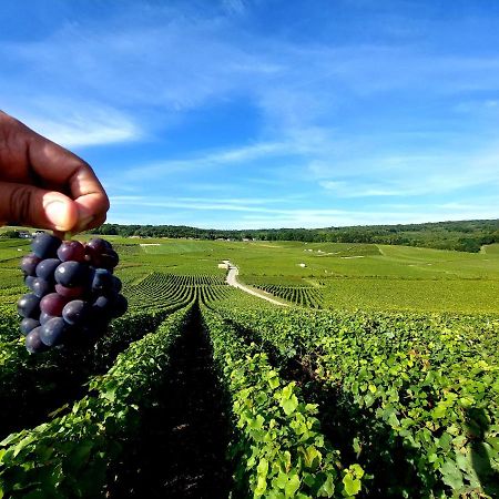 شقة Epernay Capital De Champagne المظهر الخارجي الصورة